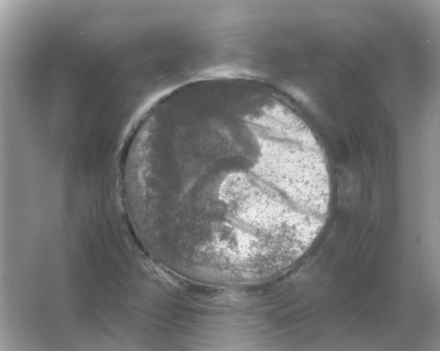 X0000065981358200603311854