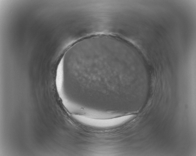 X0000065981359200603311854