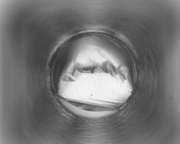 X0000065981360200603311854