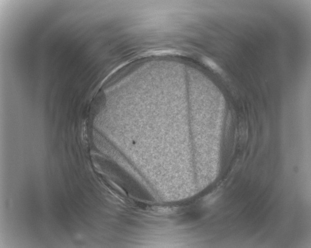 X0000065981361200603311854