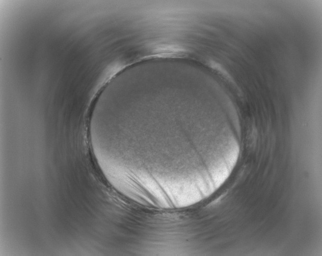 X0000065981362200603311854