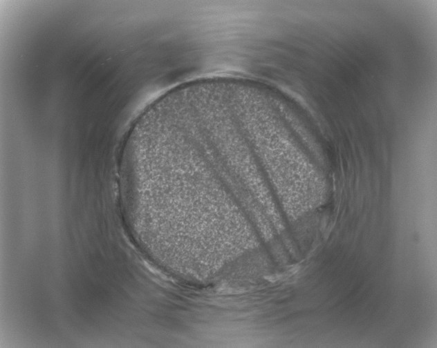 X0000065981363200603311854