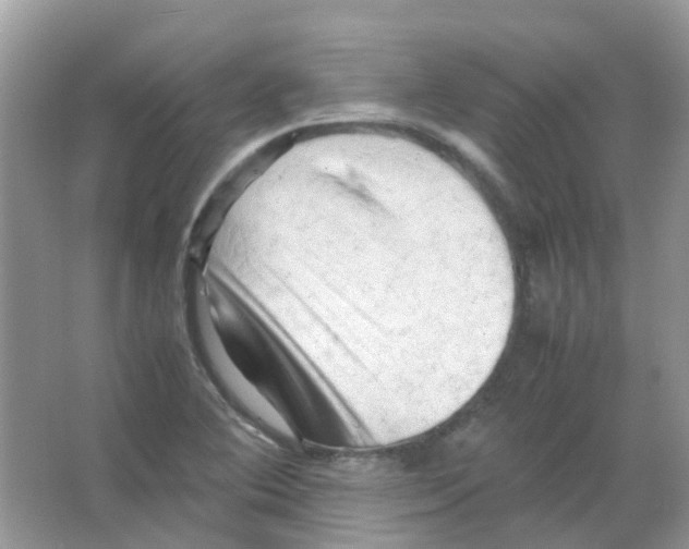 X0000065981364200603311854