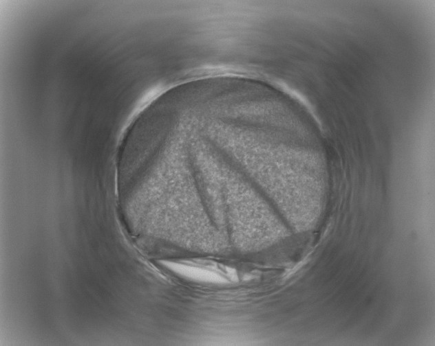 X0000065981365200603311854