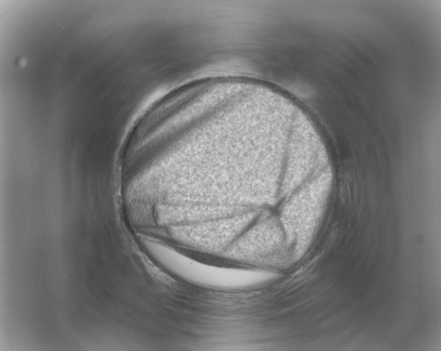 X0000065981366200603311854