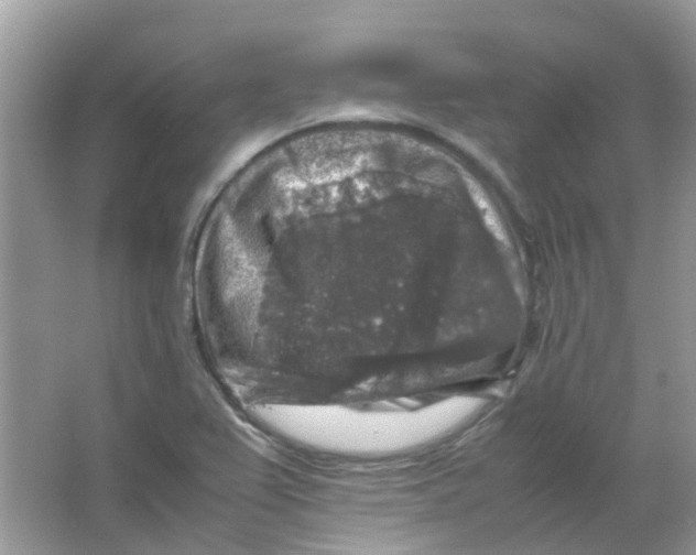 X0000065981367200603311854