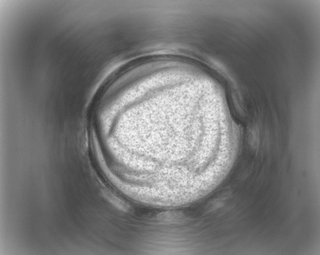 X0000065981368200603311854