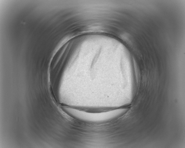 X0000065981370200603311853