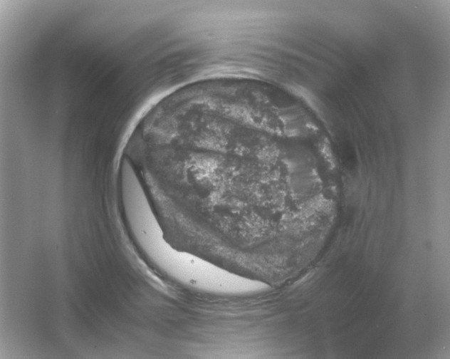 X0000065981371200603311853