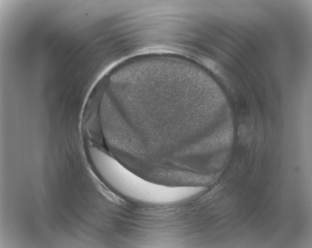 X0000065981372200603311853