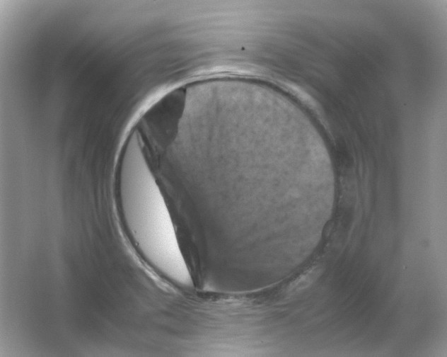 X0000065981373200603311853