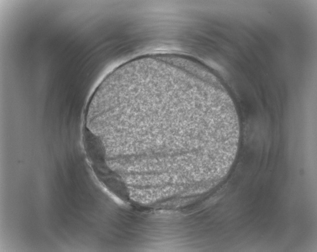 X0000065981374200603311853