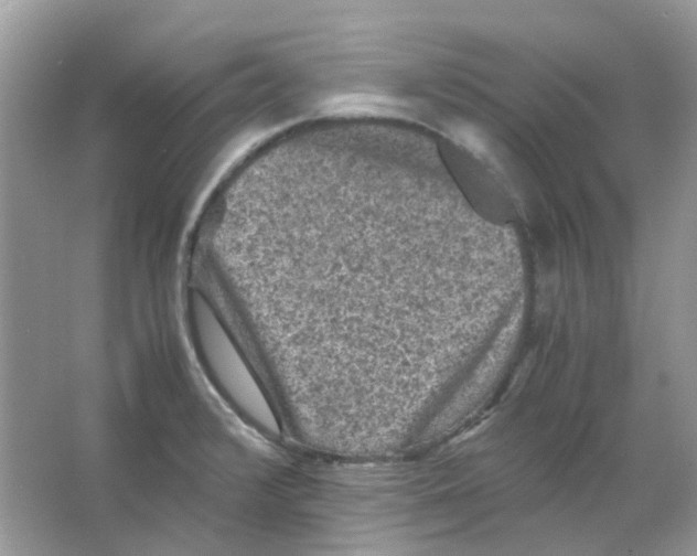 X0000065981376200603311853