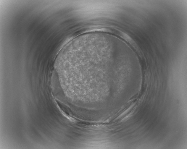 X0000065981377200603311853