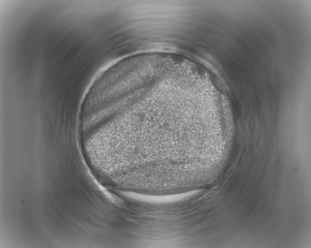 X0000065981379200603311853