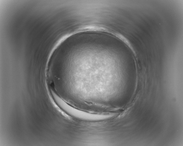 X0000065981381200603311853