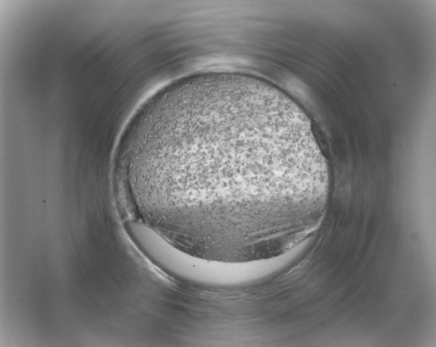 X0000065981384200603311853