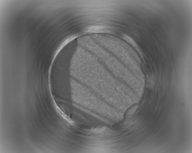 X0000065981386200603311853