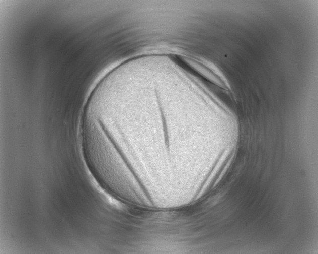 X0000065981387200603311853