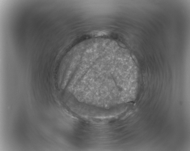 X0000065981393200603311852