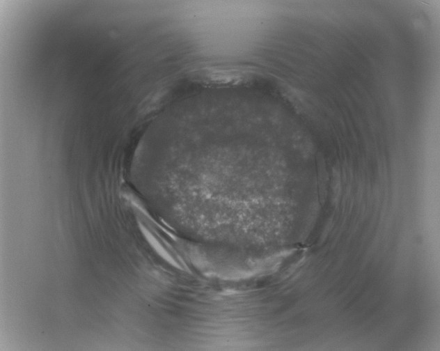 X0000065981394200603311852