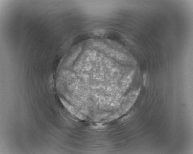 X0000065981395200603311852