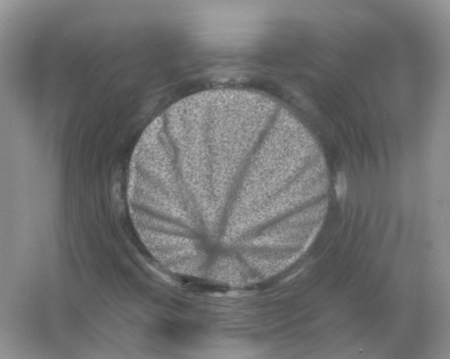 X0000065981396200603311852