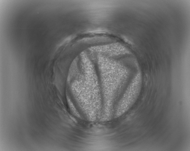 X0000065981398200603311852