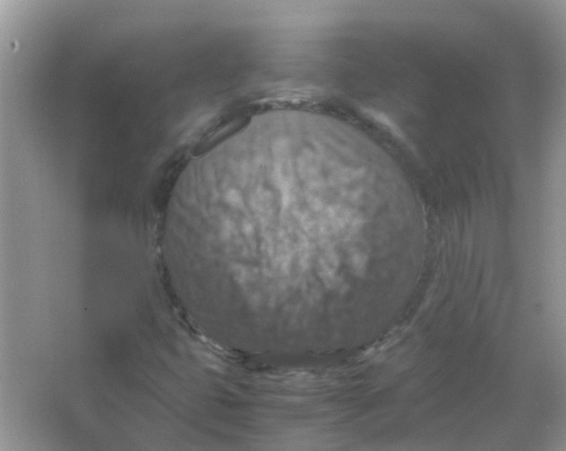 X0000065981399200603311852