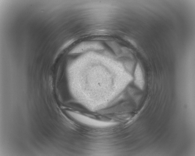 X0000065981402200603311852