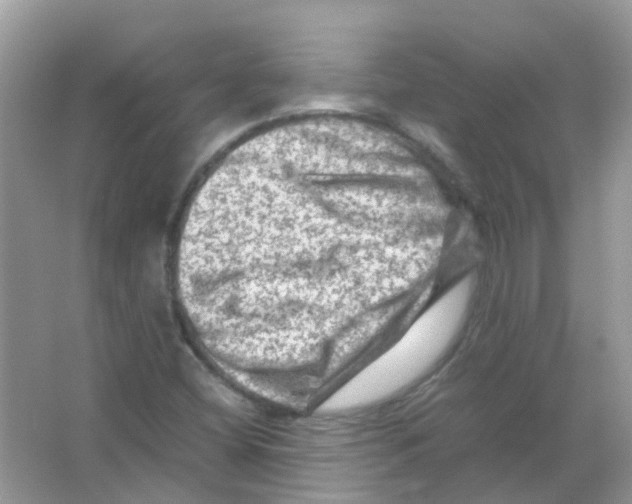 X0000065981404200603311852