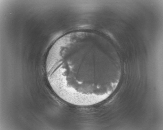 X0000065981405200603311853