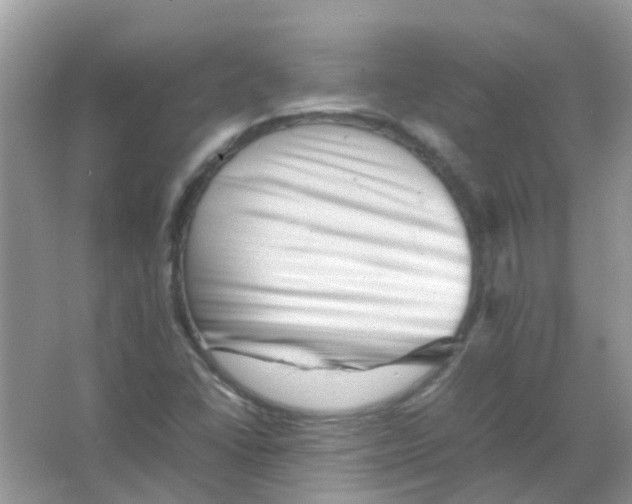 X0000065981406200603311853