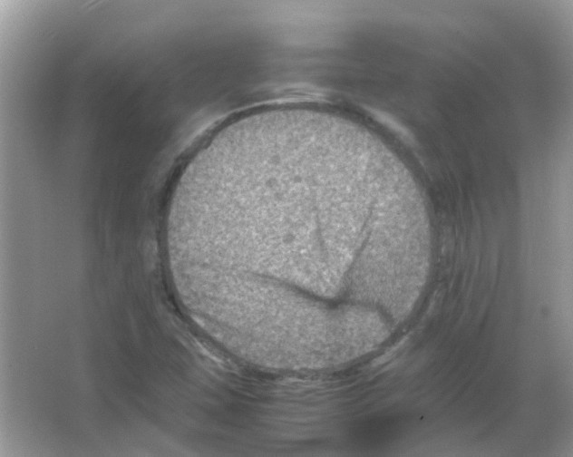 X0000065981407200603311853