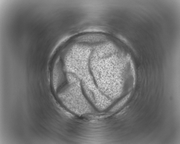 X0000065981408200603311853