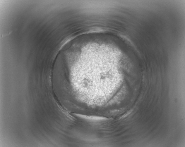 X0000065981409200603311853