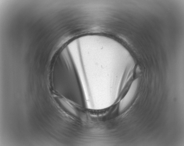 X0000065981410200603311853