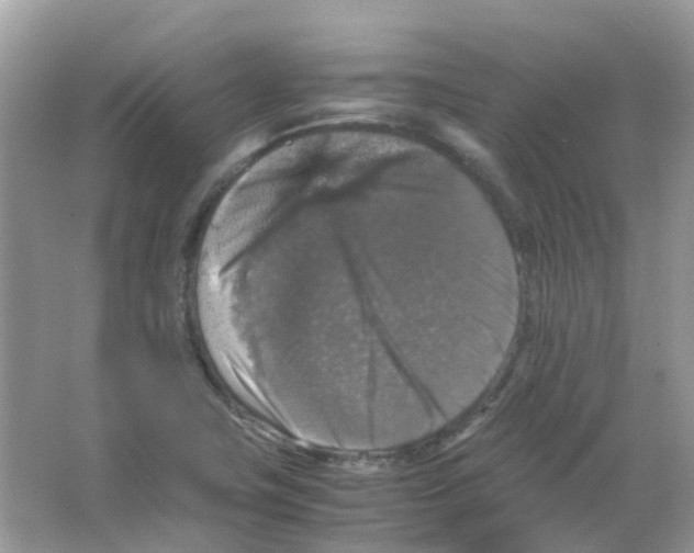 X0000065981411200603311853