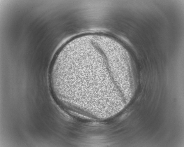 X0000065981412200603311853