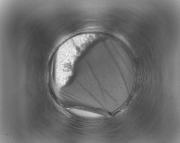 X0000065981413200603311853