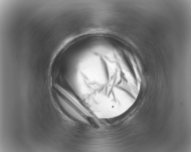 X0000065981414200603311853