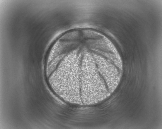 X0000065981416200603311853