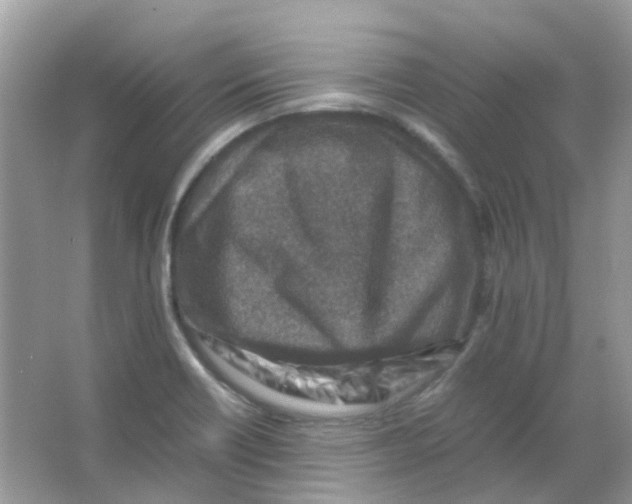 X0000065981418200603311853