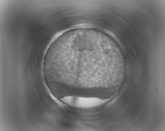 X0000065981421200603311853