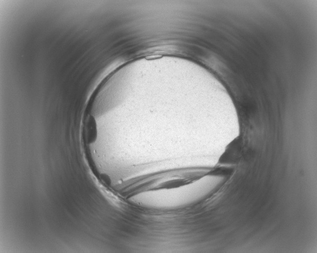 X0000065981426200603311853