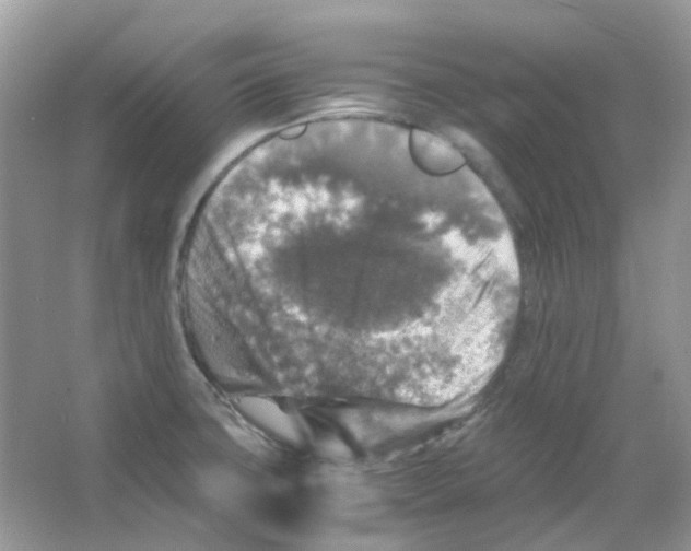 X0000065981427200603311853