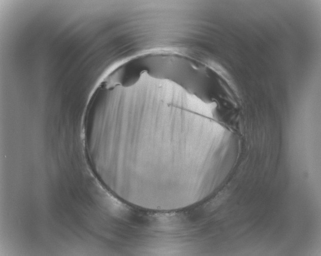 X0000065981428200603311853