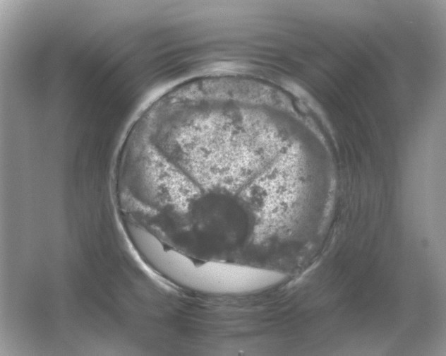 X0000065981429200603311853