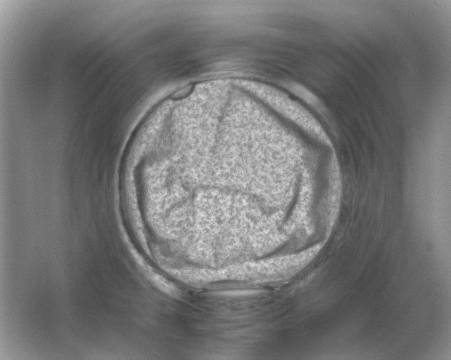 X0000065981431200603311853