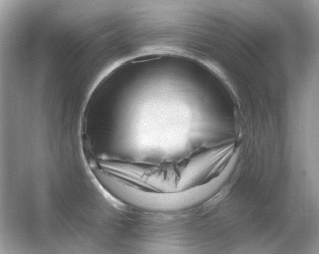 X0000065981438200603311853